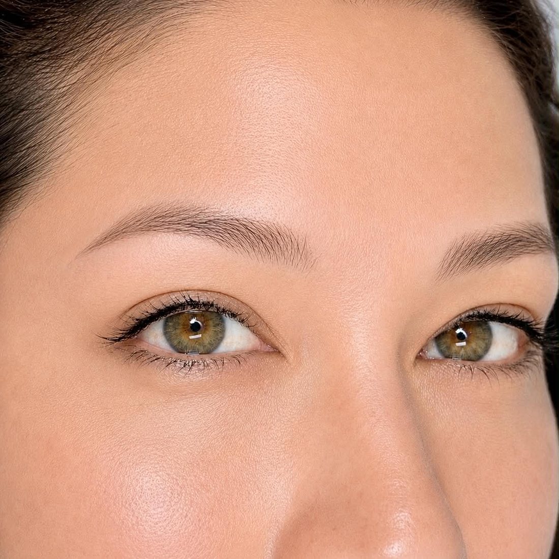 Powder Brows before